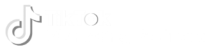 TikTok Partner
